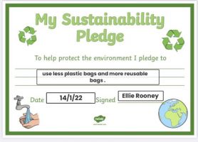 Eco Promises in Primary 6