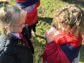 Bug Hunt
