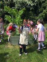 Spring Gardening 