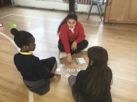 Primary 5 Shared Education