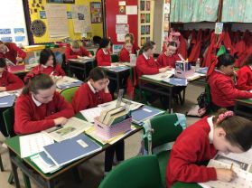 Irish News Young Readers Project 