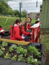 Healthy Places, Healthy Children - update 